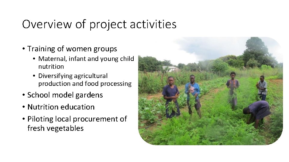 Overview of project activities • Training of women groups • Maternal, infant and young