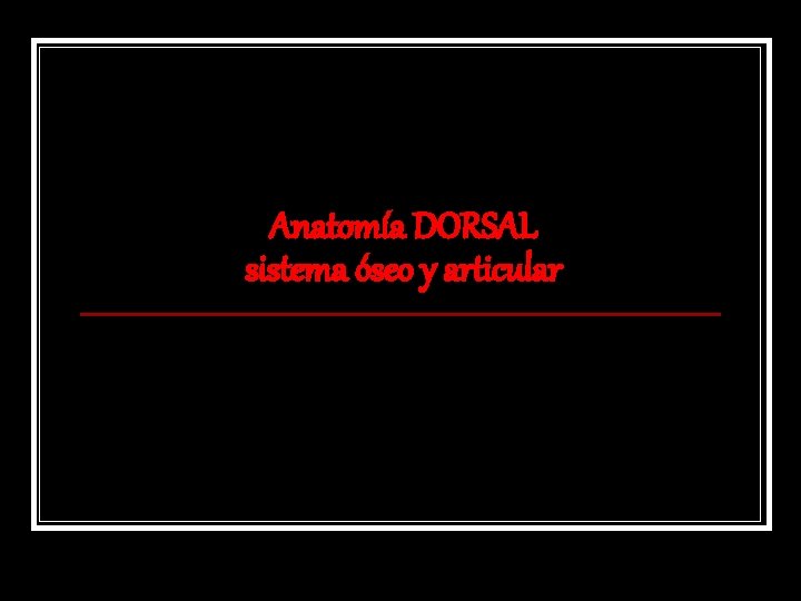 Anatomía DORSAL sistema óseo y articular 