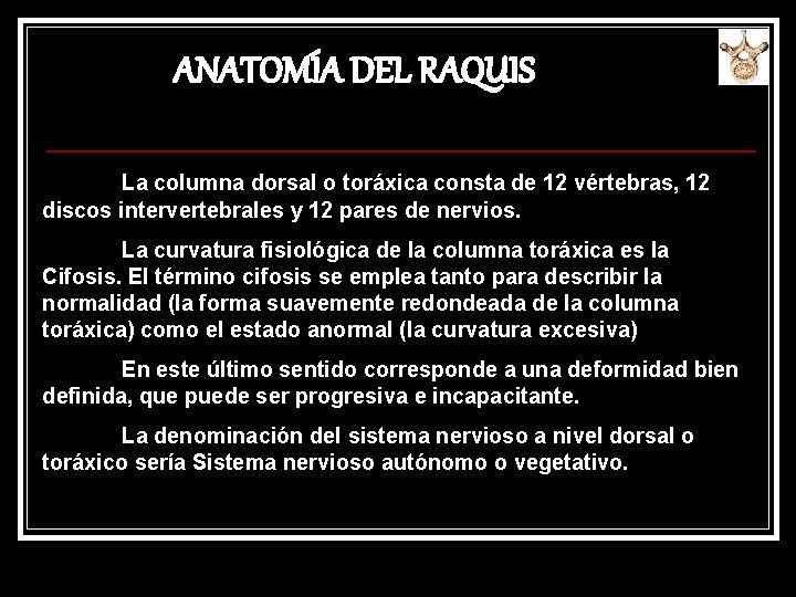 ANATOMÍA DEL RAQUIS La columna dorsal o toráxica consta de 12 vértebras, 12 discos