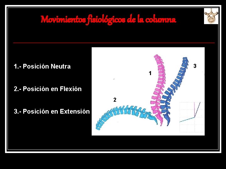 Movimientos fisiológicos de la columna 3 1. - Posición Neutra 1 2. - Posición