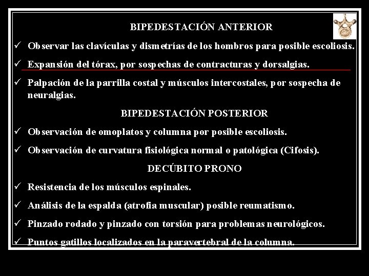 BIPEDESTACIÓN ANTERIOR ü Observar las clavículas y dismetrías de los hombros para posible escoliosis.