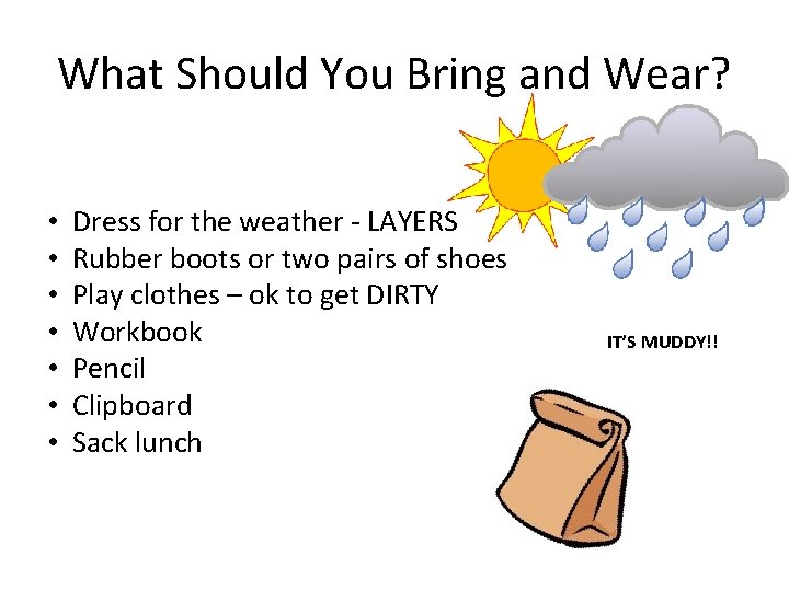 What Should You Bring and Wear? • • Dress for the weather - LAYERS