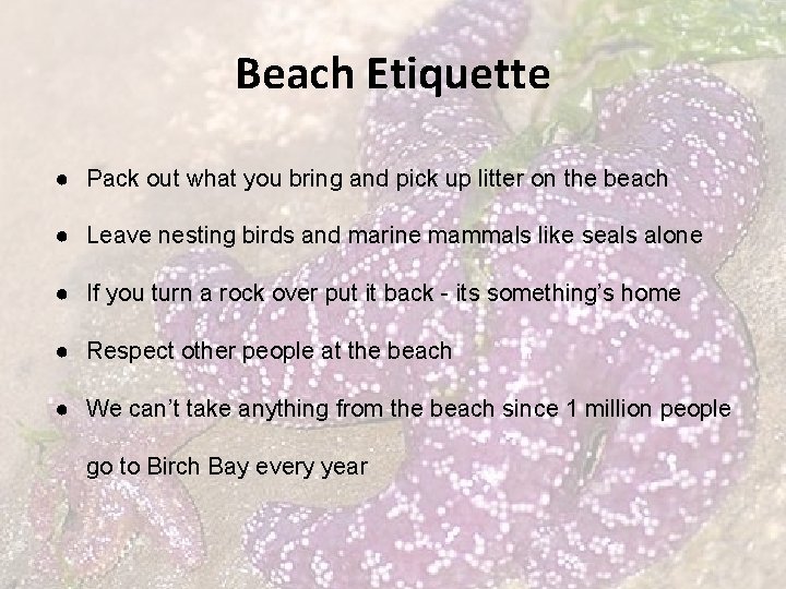 Beach Etiquette ● Pack out what you bring and pick up litter on the