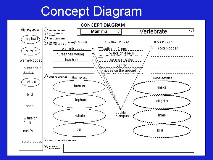 Concept Diagram 3 Key Words elephant CONCEPT DIAGRAM 1 Mammal 1 CONVEY CONCEPT 2