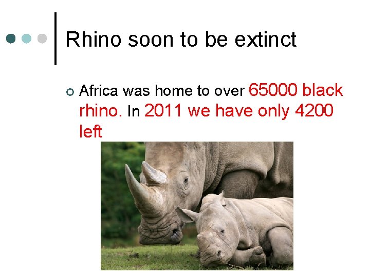 Rhino soon to be extinct ¢ Africa was home to over 65000 black rhino.