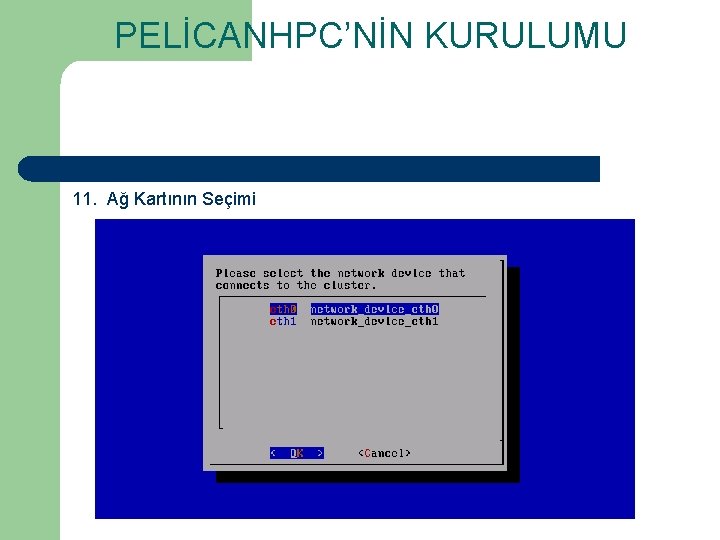 PELİCANHPC’NİN KURULUMU 11. Ağ Kartının Seçimi 