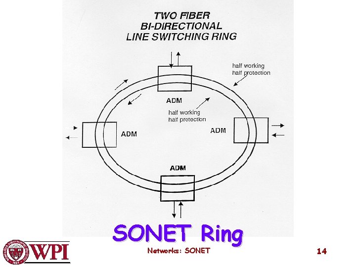 SONET Ring Networks: SONET 14 