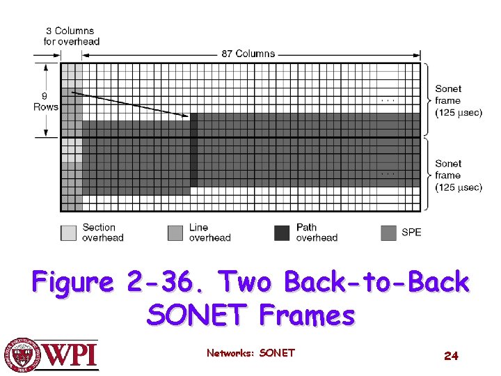 Two back-to-back SONET frames. Figure 2 -36. Two Back-to-Back SONET Frames Networks: SONET 24