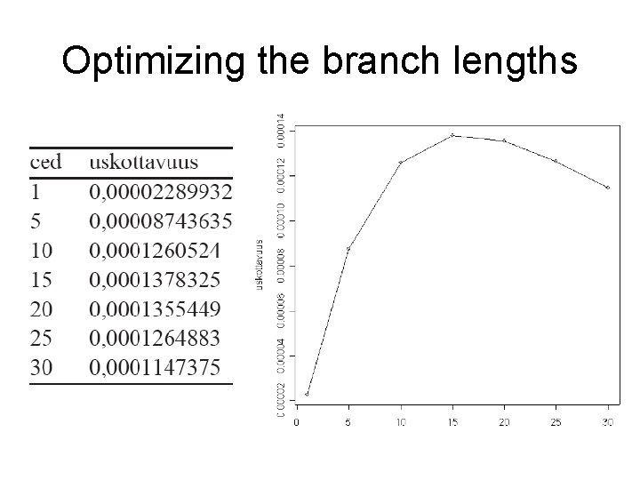 Optimizing the branch lengths 