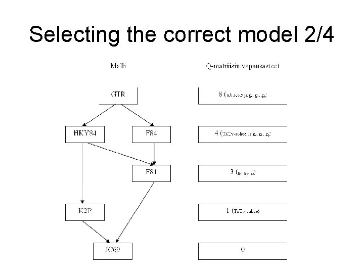 Selecting the correct model 2/4 