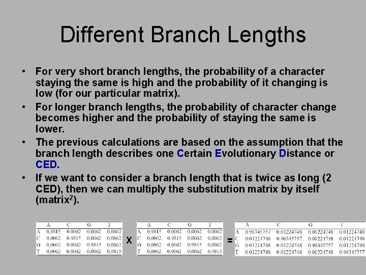 Different Branch Lengths • For very short branch lengths, the probability of a character