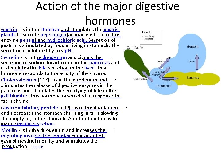 Action of the major digestive hormones Gastrin - is in the stomach and stimulates