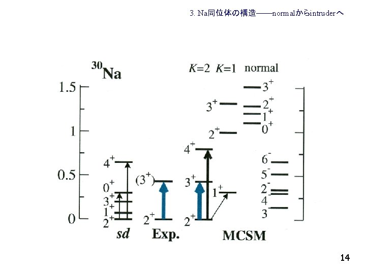 3. Na同位体の構造——normalからintruderへ 14 