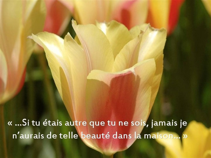  « …Si tu étais autre que tu ne sois, jamais je n’aurais de