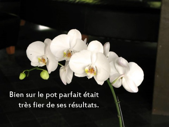 Bien sur le pot parfait était très fier de ses résultats. 