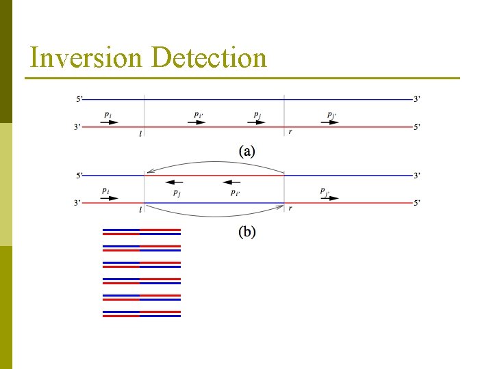 Inversion Detection 