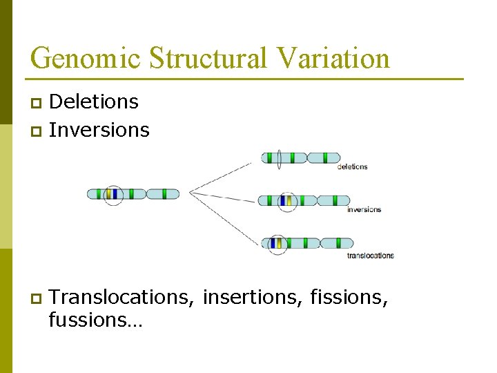 Genomic Structural Variation Deletions p Inversions p p Translocations, insertions, fissions, fussions… 