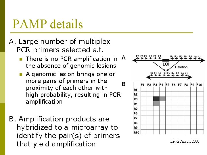 PAMP details A. Large number of multiplex PCR primers selected s. t. n n