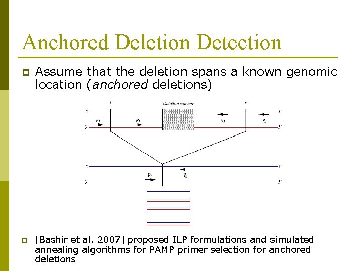 Anchored Deletion Detection p p Assume that the deletion spans a known genomic location