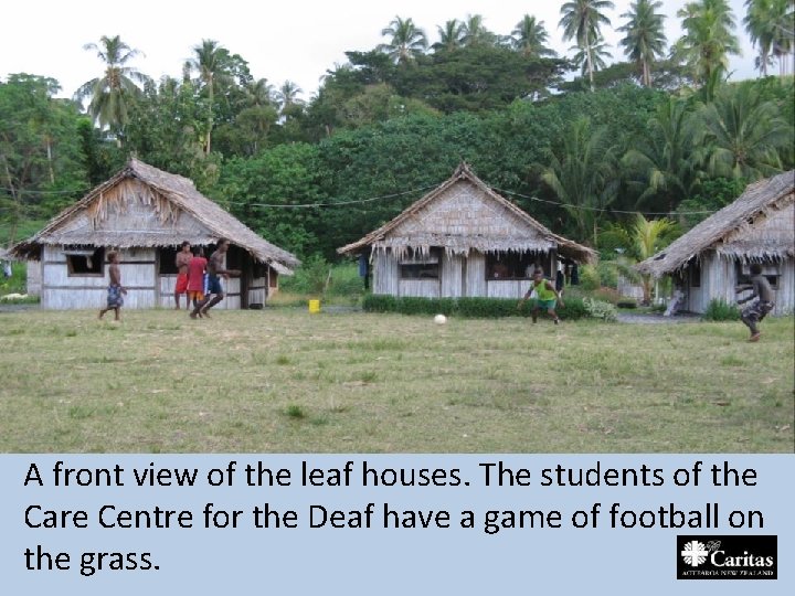 A front view of the leaf houses. The students of the Care Centre for