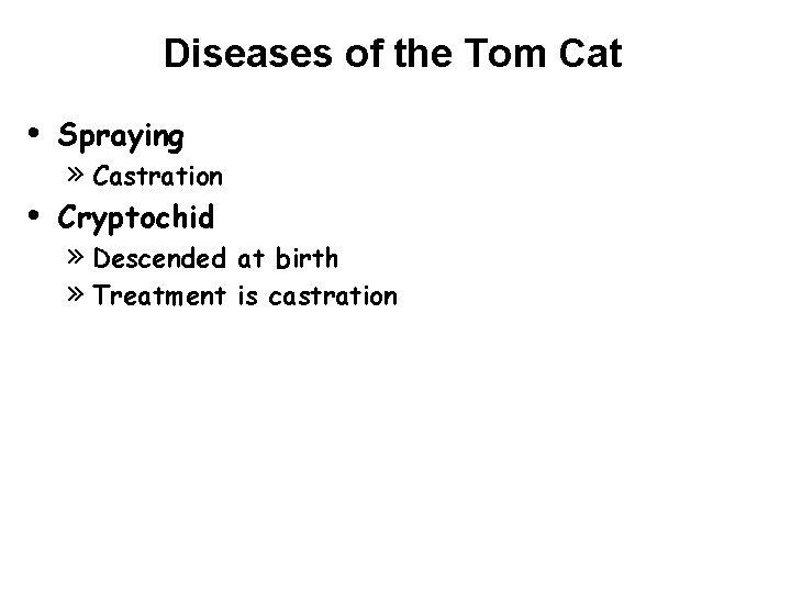 Diseases of the Tom Cat • Spraying • Cryptochid » Castration » Descended »