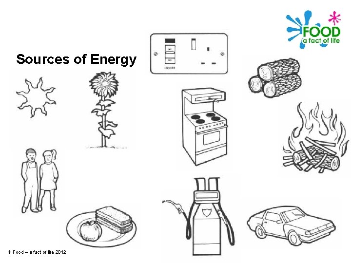 Sources of Energy © Food – a fact of life 2012 