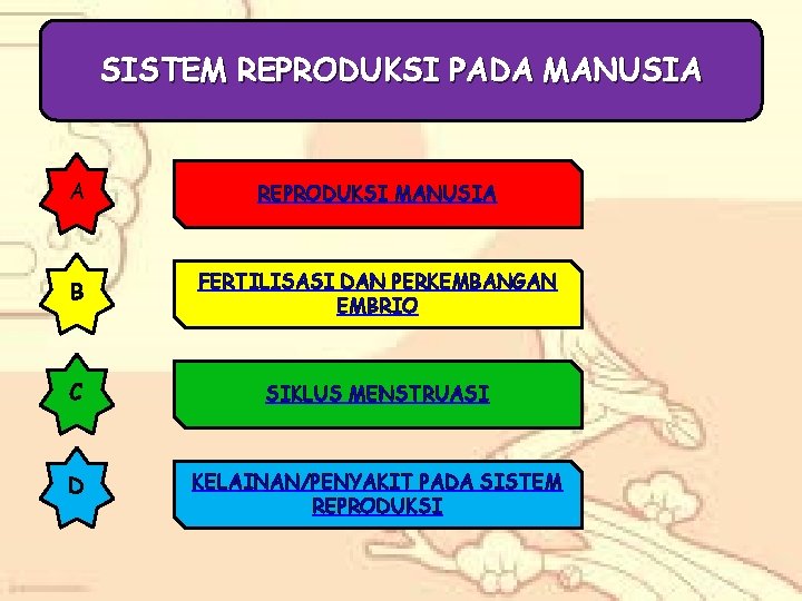 SISTEM REPRODUKSI PADA MANUSIA A REPRODUKSI MANUSIA B FERTILISASI DAN PERKEMBANGAN EMBRIO C SIKLUS