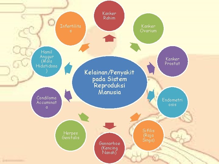 Kanker Rahim Infertilita s Hamil Anggur (Mola Hidatidosa Kanker Ovarium Kanker Prostat ) Kelainan/Penyakit