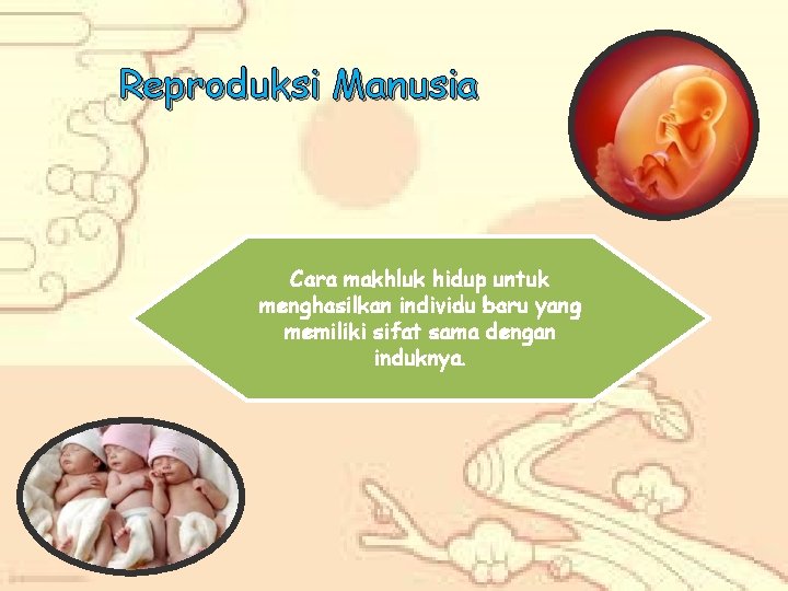 Reproduksi Manusia Cara makhluk hidup untuk menghasilkan individu baru yang memiliki sifat sama dengan