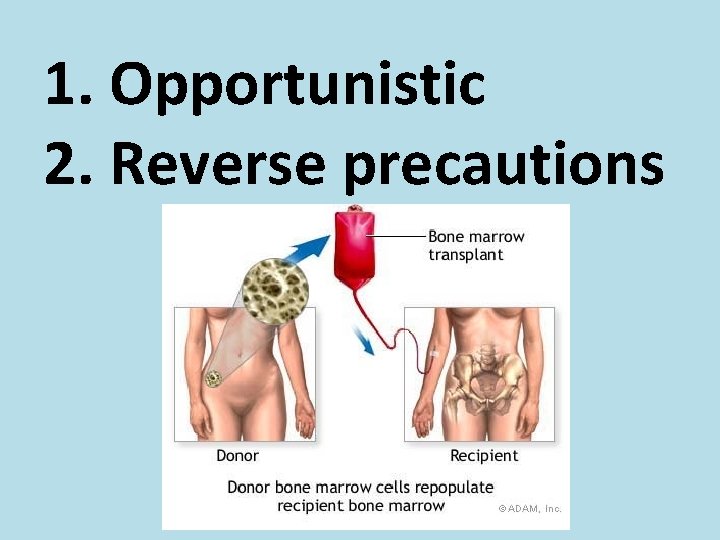 1. Opportunistic 2. Reverse precautions 