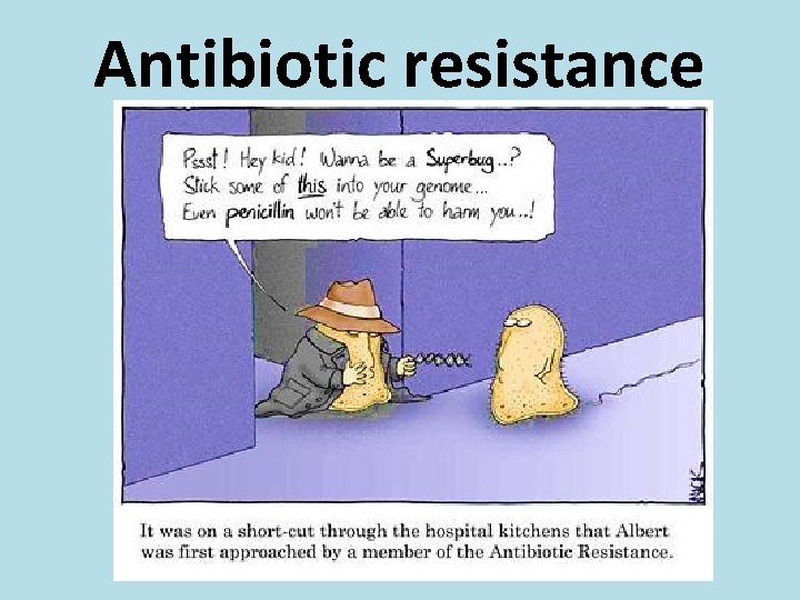 Antibiotic resistance 