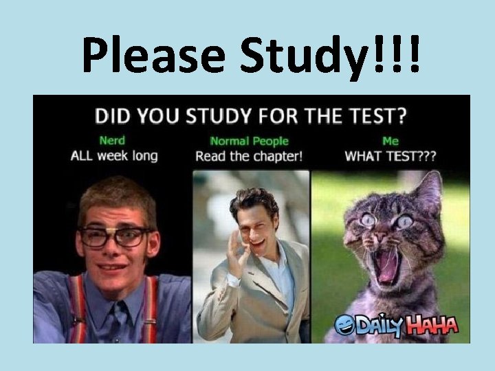 Please Study!!! 