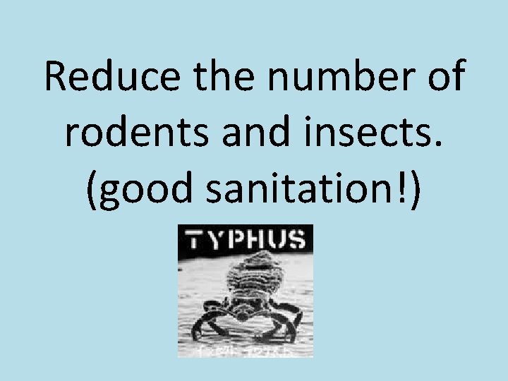 Reduce the number of rodents and insects. (good sanitation!) 