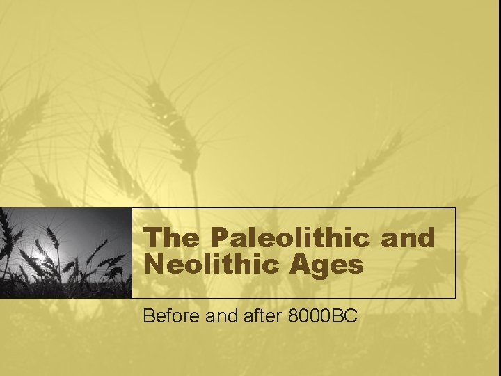 The Paleolithic and Neolithic Ages Before and after 8000 BC 