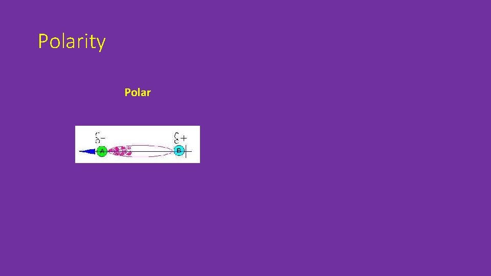 Polarity Polar 