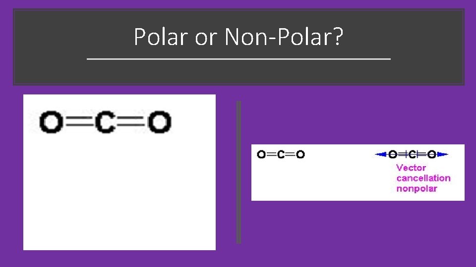 Polar or Non-Polar? 