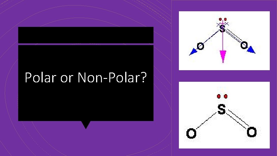 Polar or Non-Polar? 