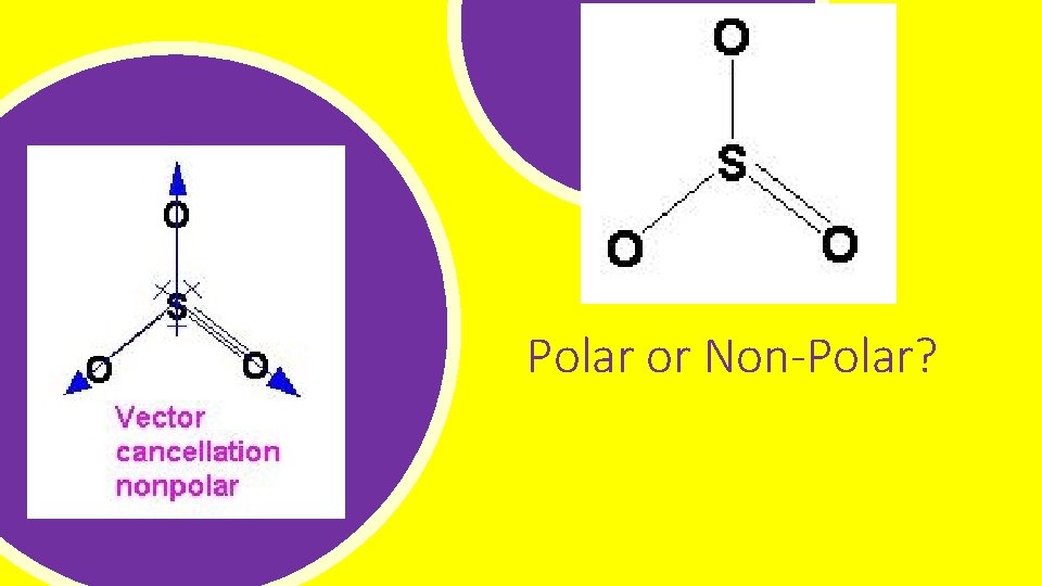 Polar or Non-Polar? 