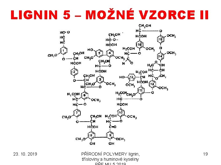 LIGNIN 5 – MOŽNÉ VZORCE II 23. 10. 2019 PŘÍRODNÍ POLYMERY lignin, třísloviny a