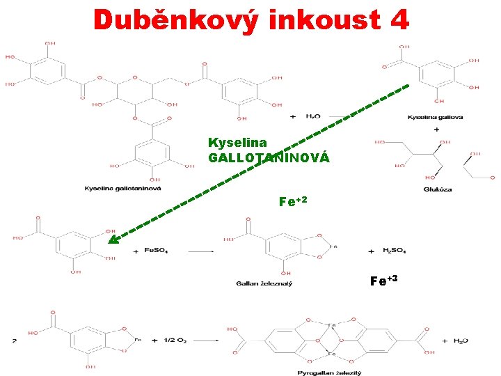 Duběnkový inkoust 4 Kyselina GALLOTANINOVÁ Fe+2 Fe+3 23. 10. 2019 PŘÍRODNÍ POLYMERY lignin, třísloviny