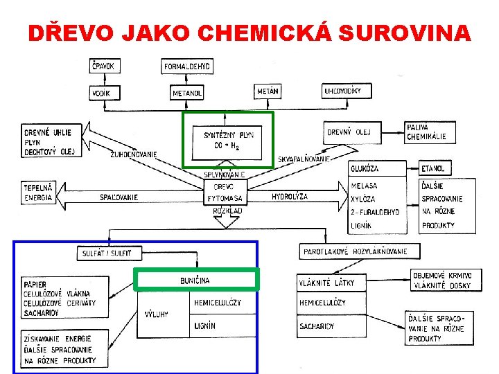 DŘEVO JAKO CHEMICKÁ SUROVINA 23. 10. 2019 PŘÍRODNÍ POLYMERY lignin, třísloviny a huminové kyseliny