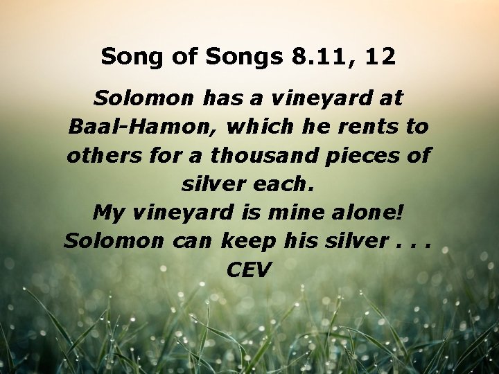 Song of Songs 8. 11, 12 Solomon has a vineyard at Baal-Hamon, which he