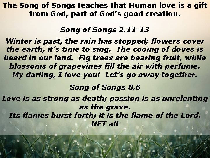 The Song of Songs teaches that Human love is a gift from God, part