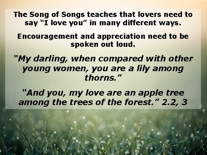 The Song of Songs teaches that lovers need to say “I love you” in