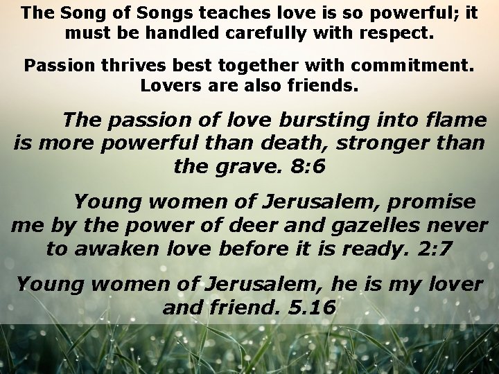 The Song of Songs teaches love is so powerful; it must be handled carefully