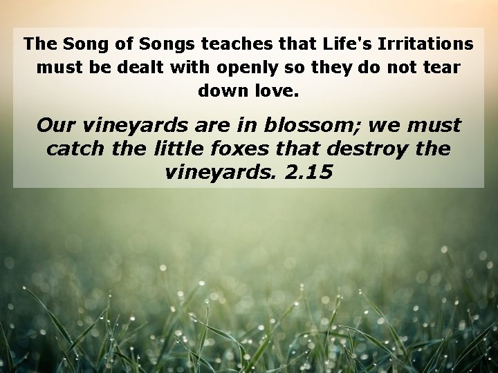 The Song of Songs teaches that Life's Irritations must be dealt with openly so