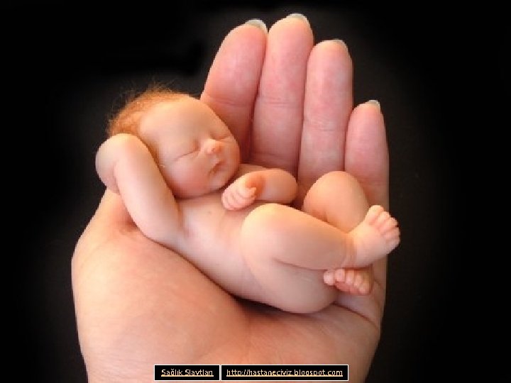 Sağlık Slaytları http: //hastaneciyiz. blogspot. com 