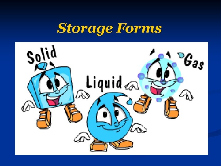 Storage Forms 