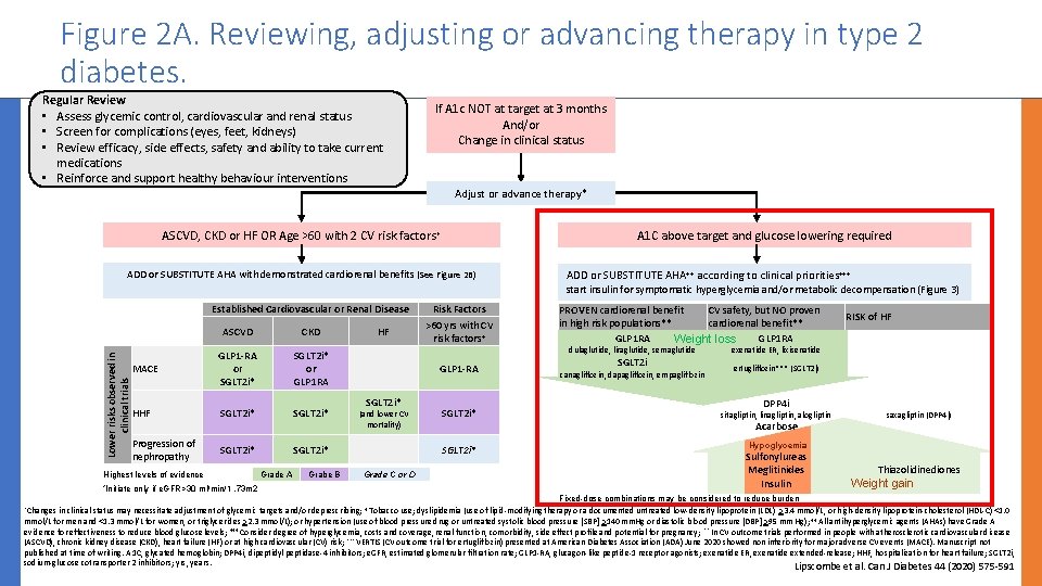 Figure 2 A. Reviewing, adjusting or advancing therapy in type 2 diabetes. Regular Review