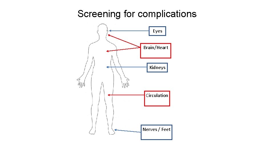 Screening for complications Eyes Brain/Heart Kidneys Circulation Nerves / Feet 